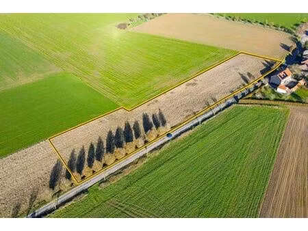 superbe terrain pour projet immobilier de villas