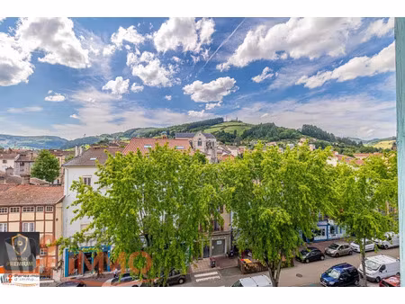 vente appartement 3 pièces 61 m² tarare (69170)
