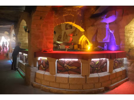 cave a vin pour professionnel