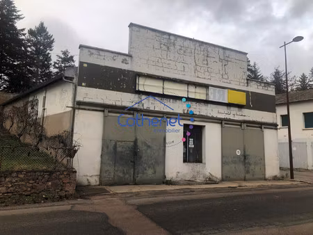 local profrssionnel