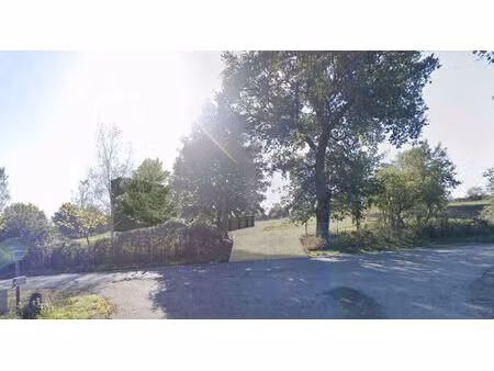local commercial