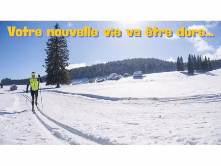 vente chalet 10 pièces 150 m² à lans-en-vercors (38250)  695 000 €