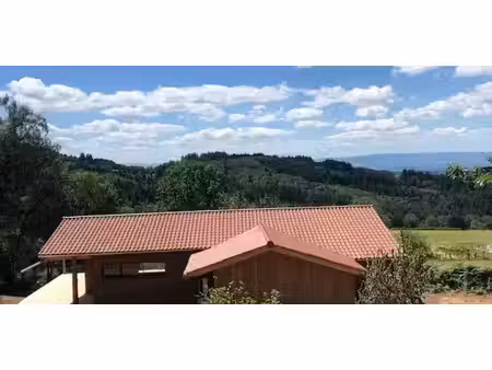 maison avec terrasse ecoche (42)