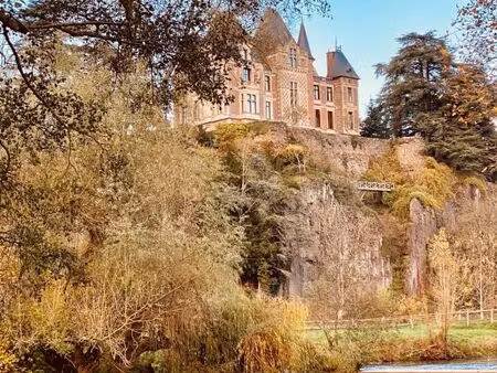 château en viager 12 pièces 500 m²
