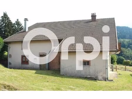 maison le syndicat m² t-9 à vendre  195 000 €