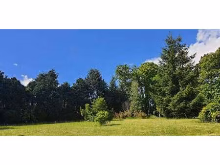 maison avec jardin et terrasse miniac-morvan (35)