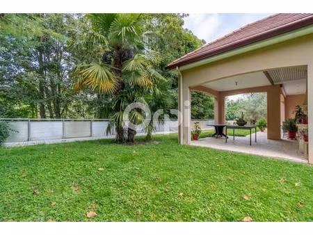 vente maison 5 pièces 308 m² puisieulx (51500)