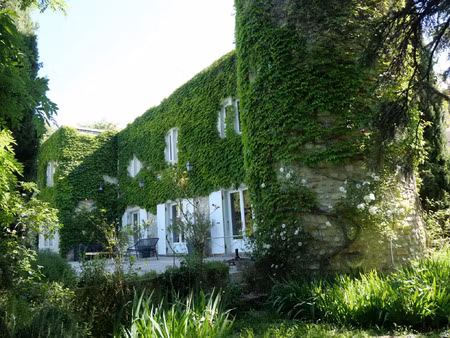 vente maison 13 pièces 400 m² visan (84820)