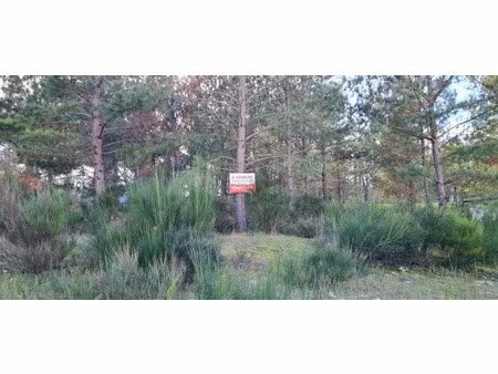 vente terrain 1278 m² à casteljaloux (47700)  44 900 €