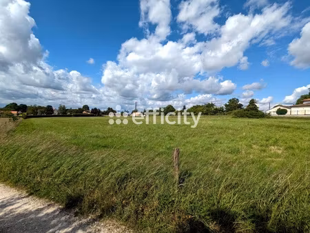 terrain - 5321 m²