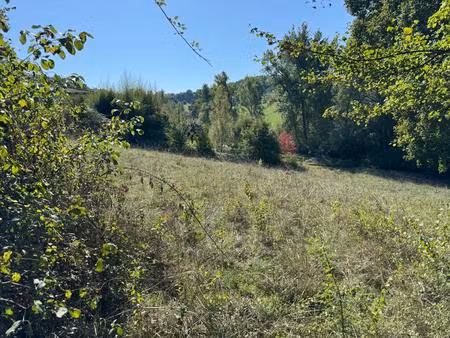 vente terrain 2841 m² colayrac-saint-cirq (47450)