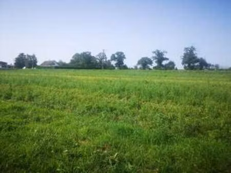 vente terrain à ducey (50220) : à vendre / 2000m² ducey