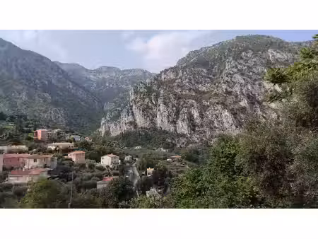 vente terrain