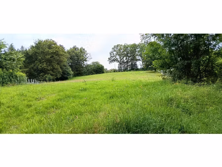 proche du bourg de lagarde marc la tour
