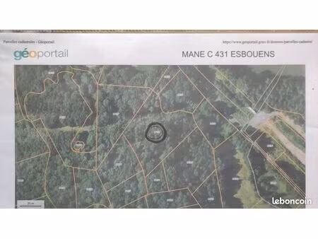 terrain avec bois sur pied 7030 m2