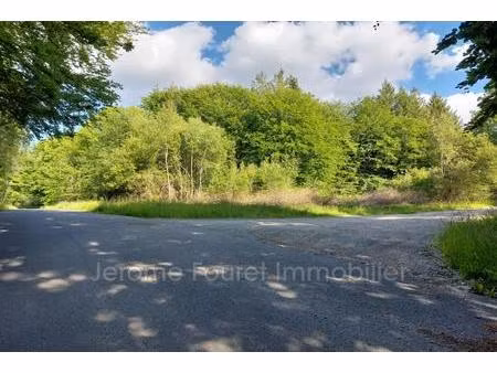 vente terrain 2229 m² marcillac-la-croisille (19320)
