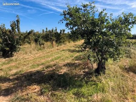 terrain pour jardinage  pâturage ou loisirs