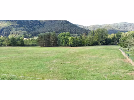vente terrain 2161 m² à saint-die-des-vosges (88100)  71 800 €