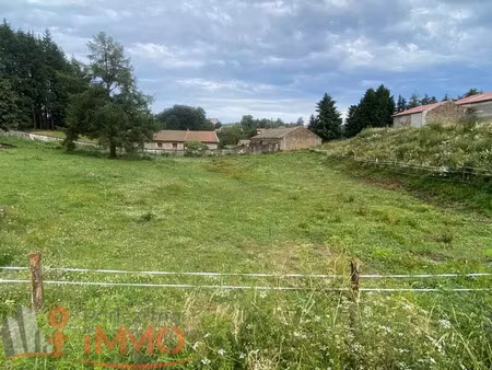 vente terrain 1274 m² saint-pal-de-mons (43620)