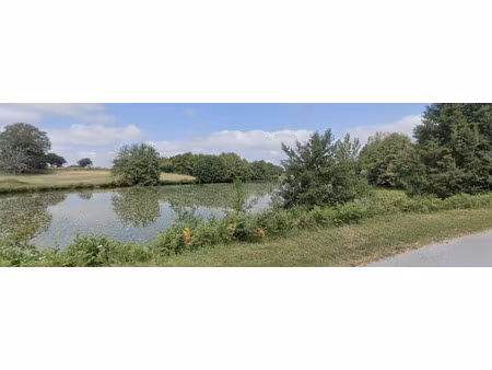 vente terrain 20248 m² à saint-sébastien (23160)  60 000 €