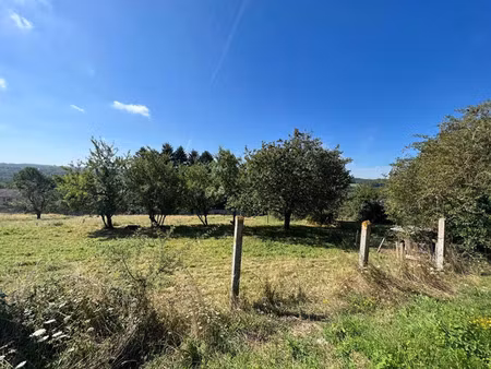 vente terrain 1381 m² saint-victurnien (87420)