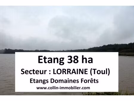 en vente terrain constructible 3 800 ares – 678 000 € |toul