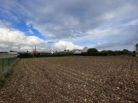 vente terrain 2491 m2 à bercloux