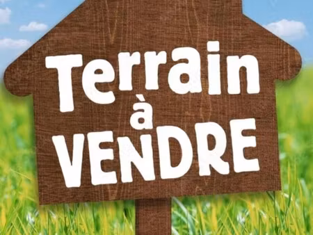 vente terrain
