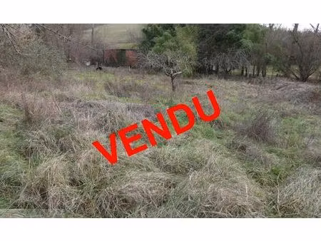 vente terrain constructible cordes-sur-ciel  29 000€ tarn midi-pyrénées n°