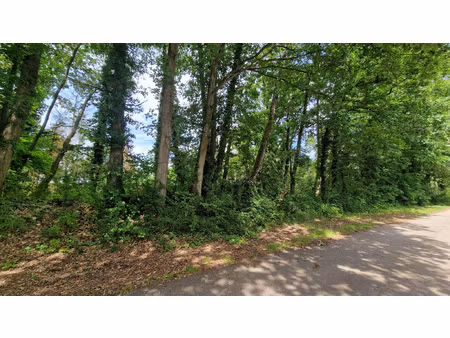 terrain constructible 44 ares - landonvillers