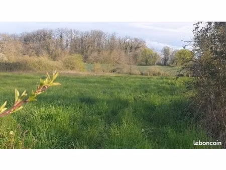 terrain constructible
