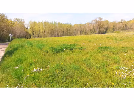 vente terrain 845 m² fleury-la-vallée (89113)