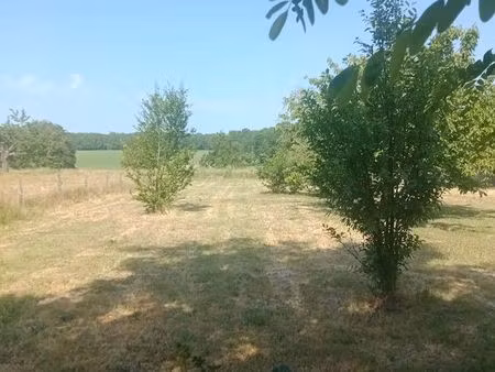 terrain constructible 1600 m2 à gennetines (03400) - 55000 euros