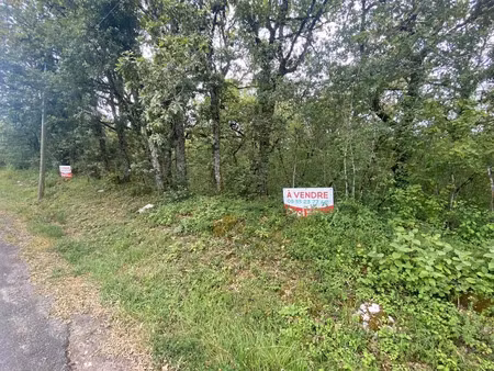 vente terrain 2781 m² à la dornac (24120)  40 400 €