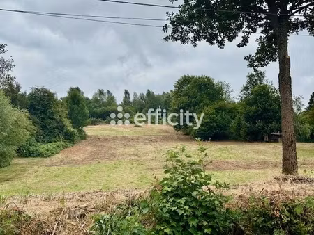 terrain - 8300 m²