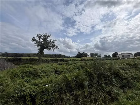 vente terrain 5620 m² la souterraine (23300)