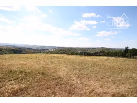 vente terrain à batir 48000 m² à limoux (11300)  250 000 €