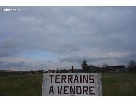 terrain constructible