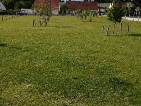 terrain constructible