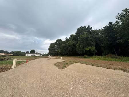vente terrain pessines (17810)