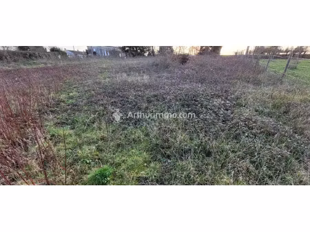 vente terrain 504 m2 à saint-pierre-de-juillers