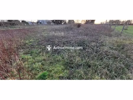vente terrain 631 m2 à saint-pierre-de-juillers