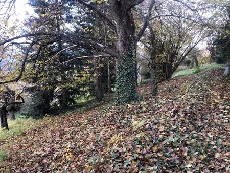 vente terrain 1223 m² thizy-les-bourgs (69240)