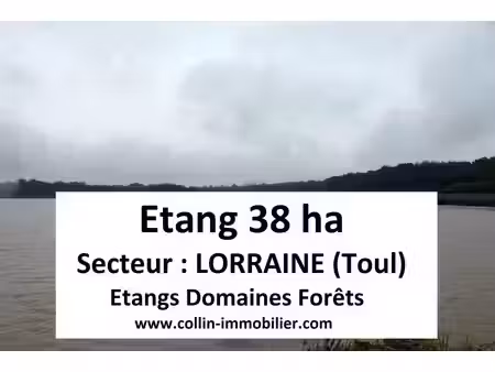 en vente terrain constructible 3 800 ares – 678 000 € |toul