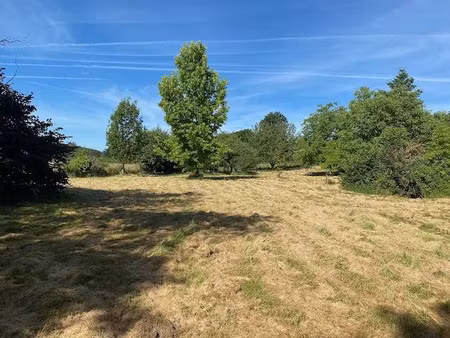 vente terrain 4917 m² à bourg-le-comte (71110)  16 500 €