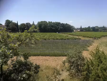 terrain 25699 m²