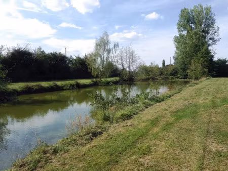vente terrain 12496 m2 à villereau
