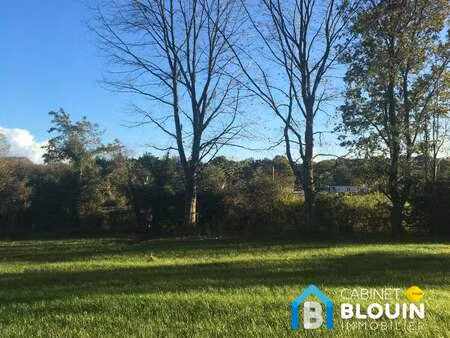 vente terrain à nozay (44170) : à vendre / 525m² nozay