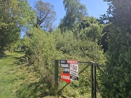 terrain à bâtir à forges (chimay)