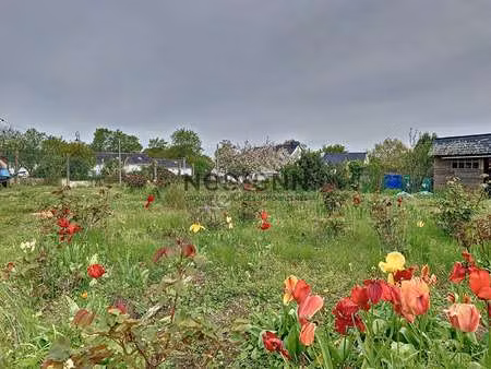 vente terrain à ambon (56190) : à vendre / 365m² ambon